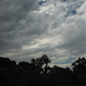 Meet your Posher, Andrea or wayne